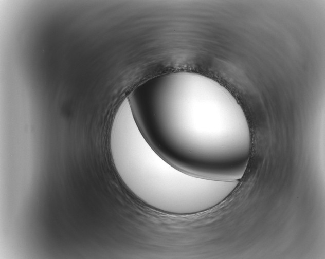 X0000096680039200802051038