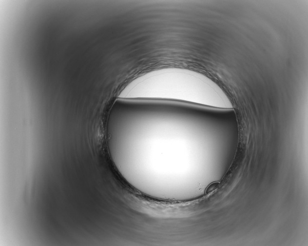 X0000096680040200802051038