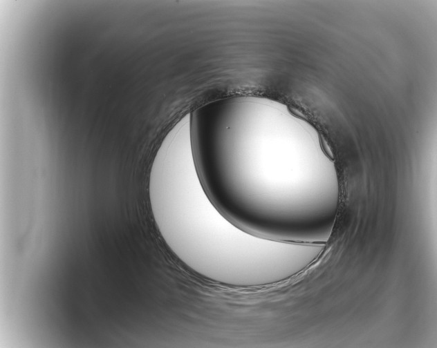 X0000096680041200802051038