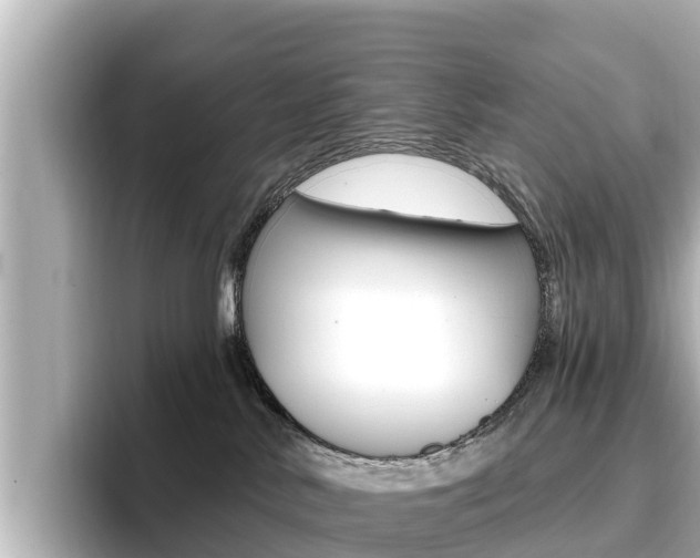 X0000096680042200802051038