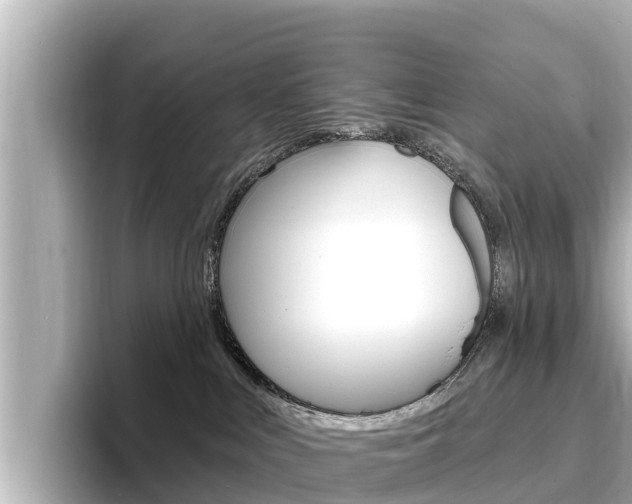 X0000096680043200802051038