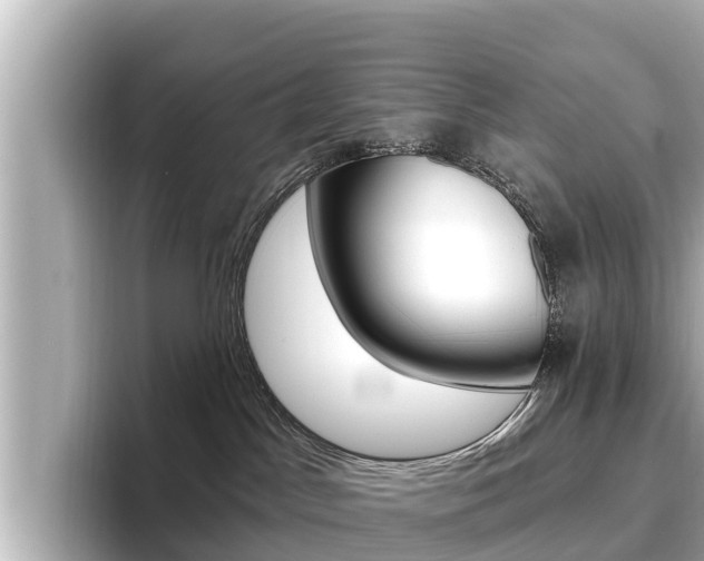 X0000096680045200802051038