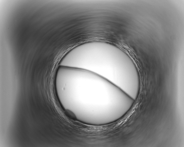 X0000096680049200802051038