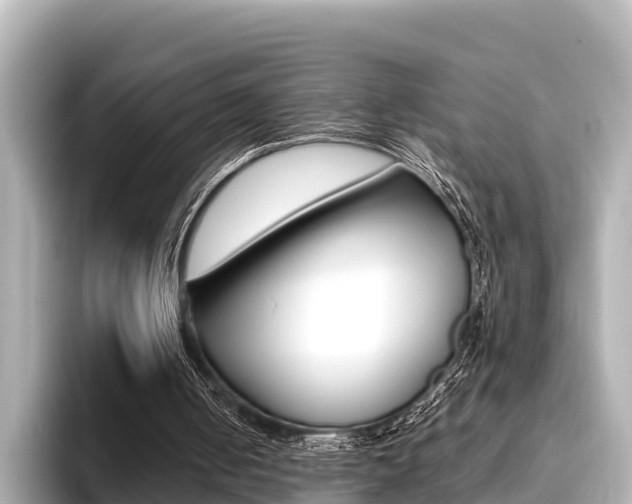 X0000096680050200802051038