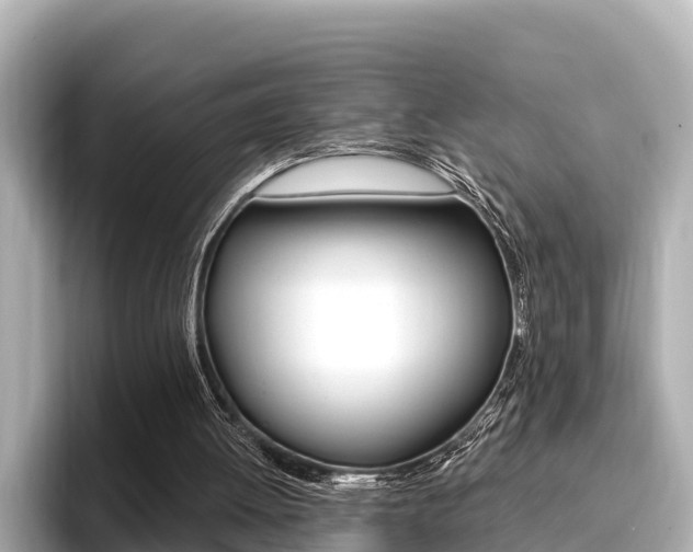 X0000096680052200802051038