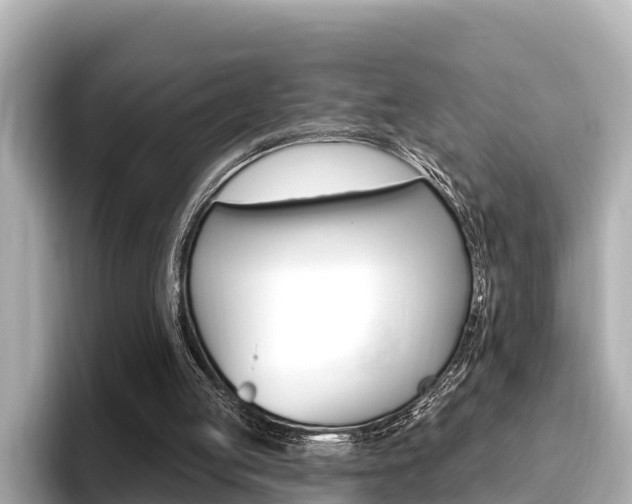 X0000096680053200802051038