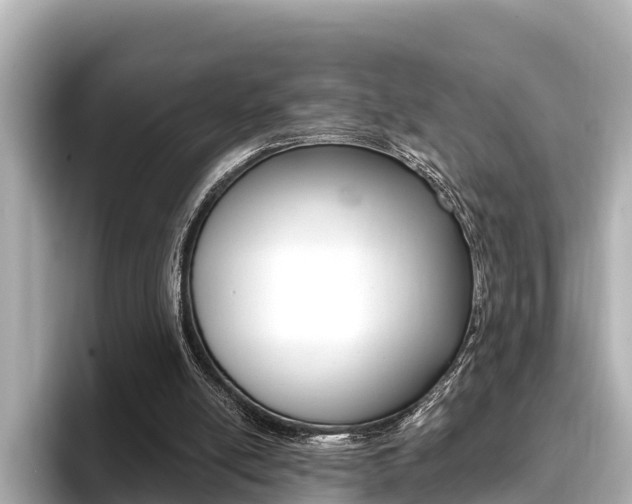 X0000096680054200802051038