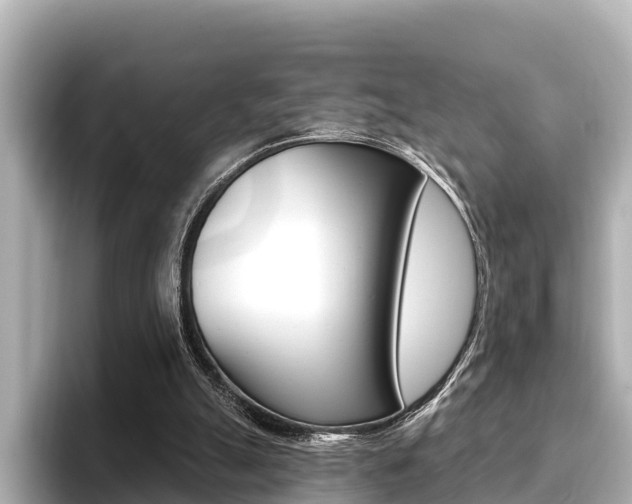 X0000096680055200802051038