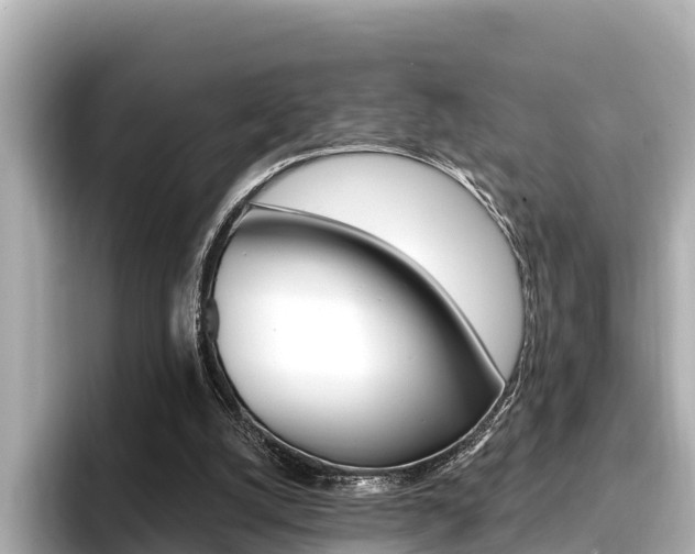 X0000096680056200802051038