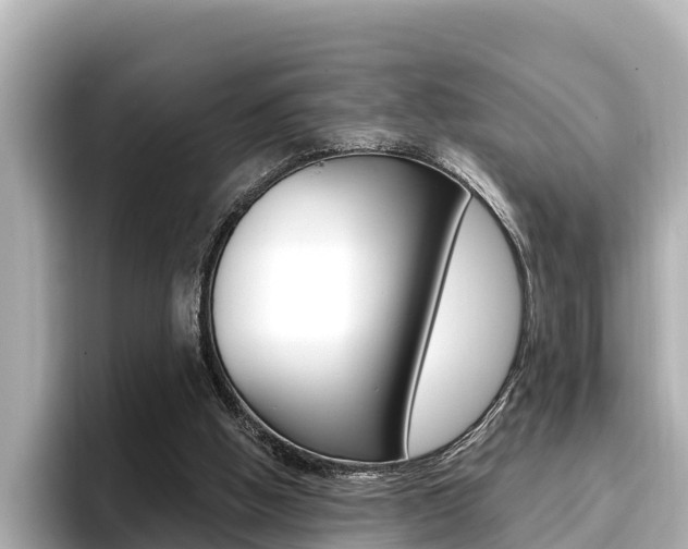 X0000096680058200802051038