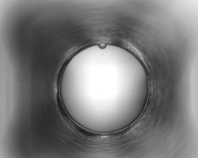 X0000096680059200802051038