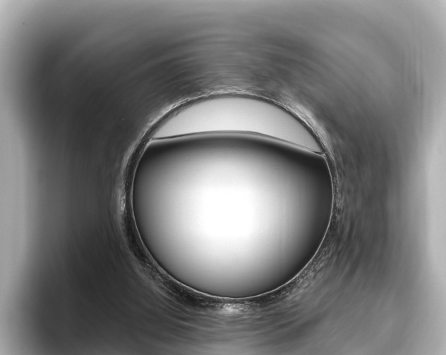 X0000096680060200802051038