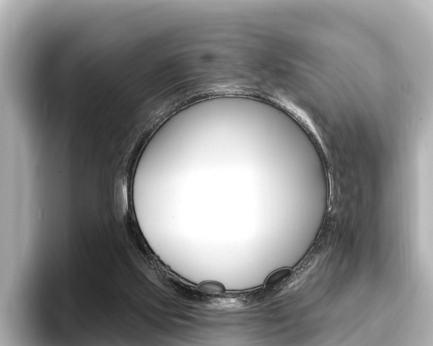 X0000096680061200802051038