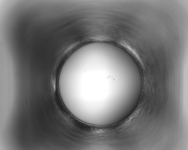 X0000096680062200802051038