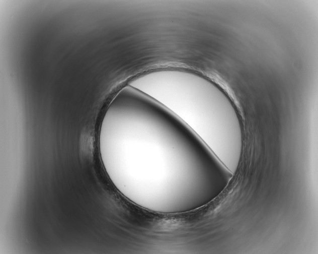 X0000096680063200802051038