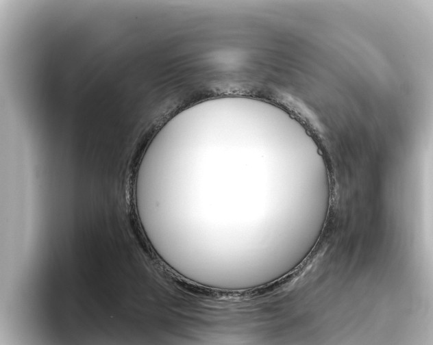 X0000096680065200802051038