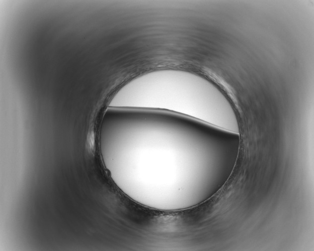X0000096680067200802051038