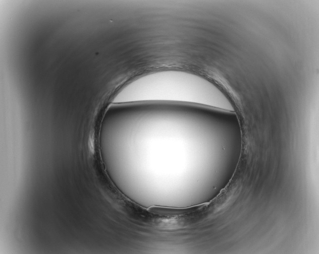 X0000096680068200802051038
