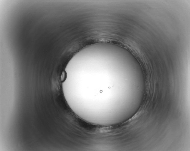 X0000096680078200802051038