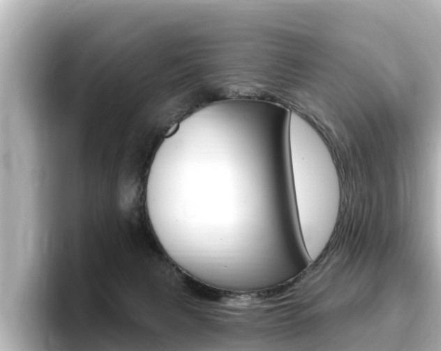 X0000096680079200802051038