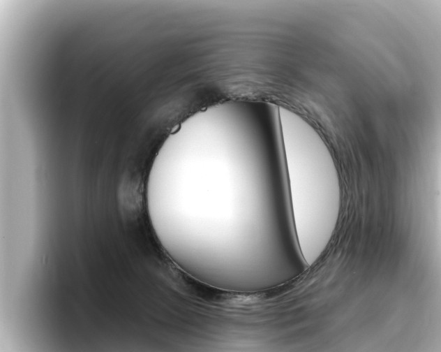 X0000096680081200802051038