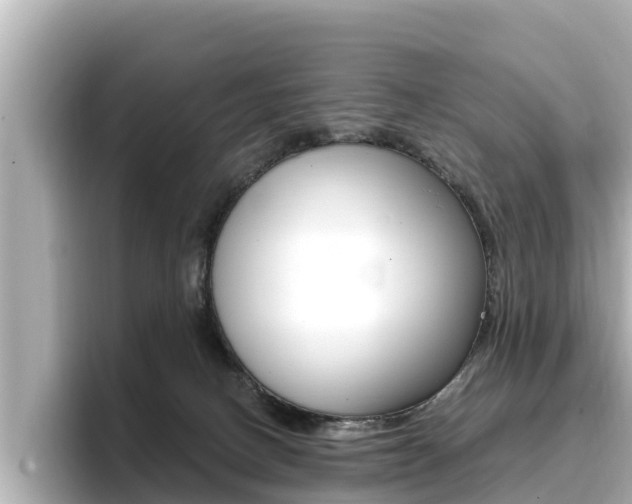 X0000096680082200802051038