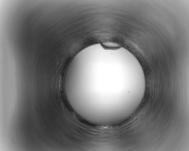 X0000096680083200802051038