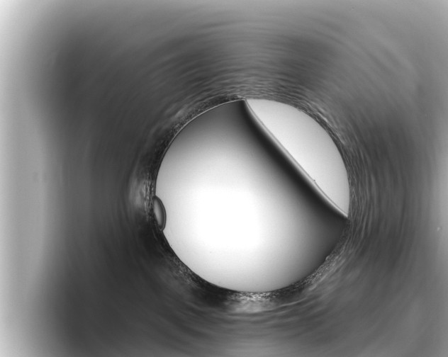 X0000096680093200802051038