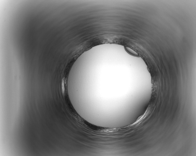 X0000096680094200802051038