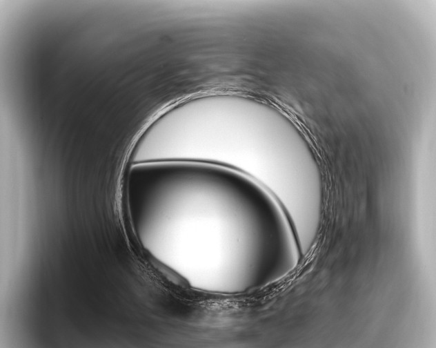 X0000096680100200802051038
