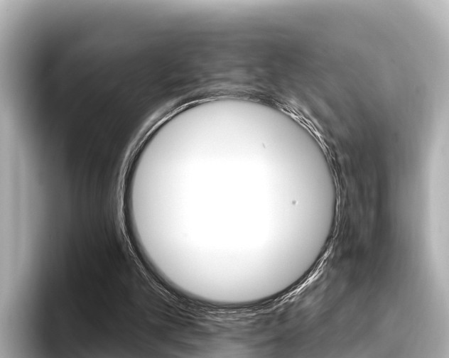 X0000096680101200802051038