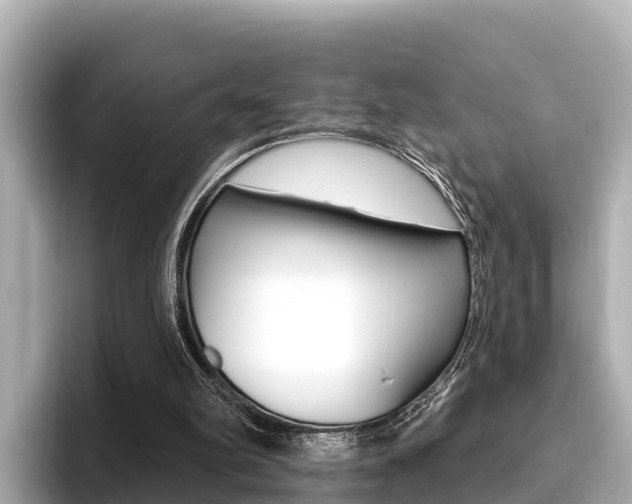 X0000096680102200802051038
