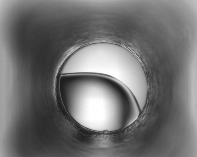 X0000096680104200802051038