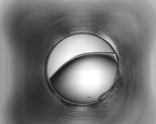 X0000096680105200802051038