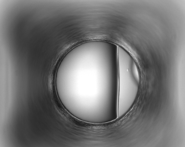 X0000096680107200802051038