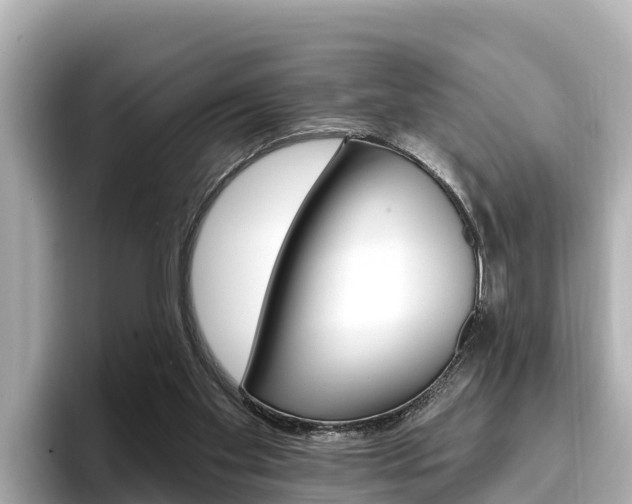 X0000096680109200802051038