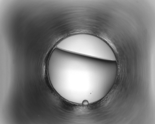 X0000096680110200802051038