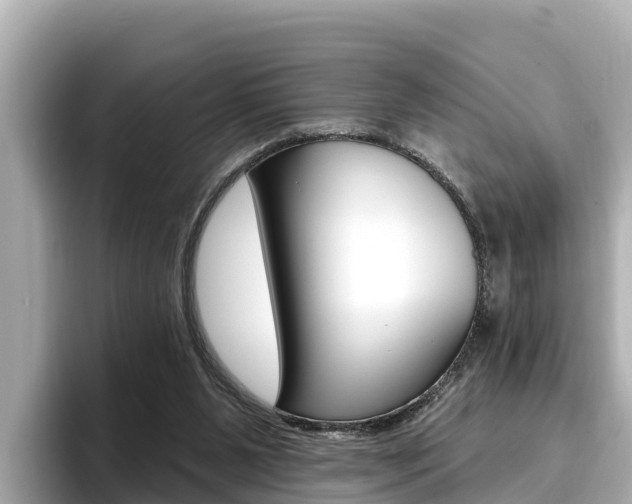 X0000096680111200802051038