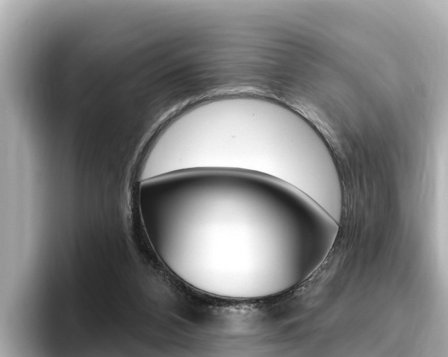 X0000096680112200802051038