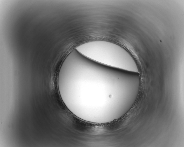 X0000096680114200802051037