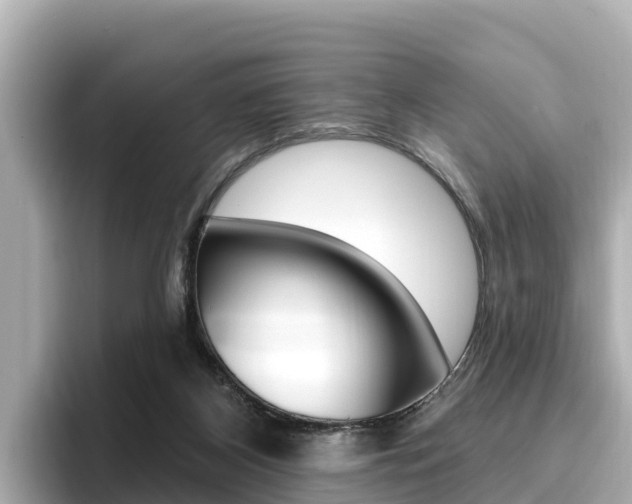 X0000096680116200802051037