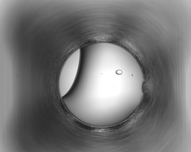 X0000096680117200802051037