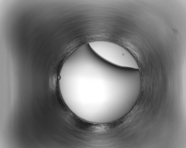 X0000096680118200802051037