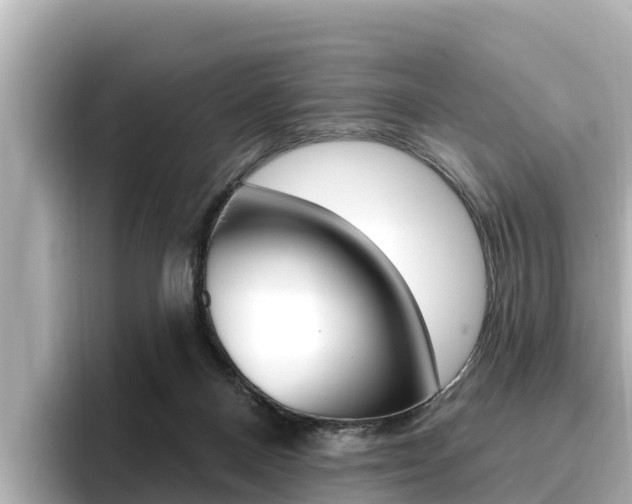 X0000096680120200802051037