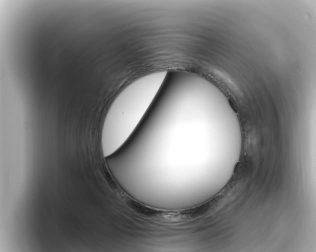 X0000096680121200802051037