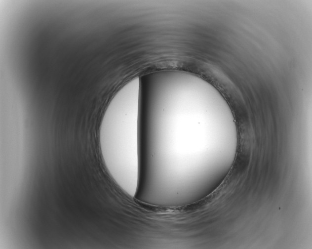 X0000096680125200802051037