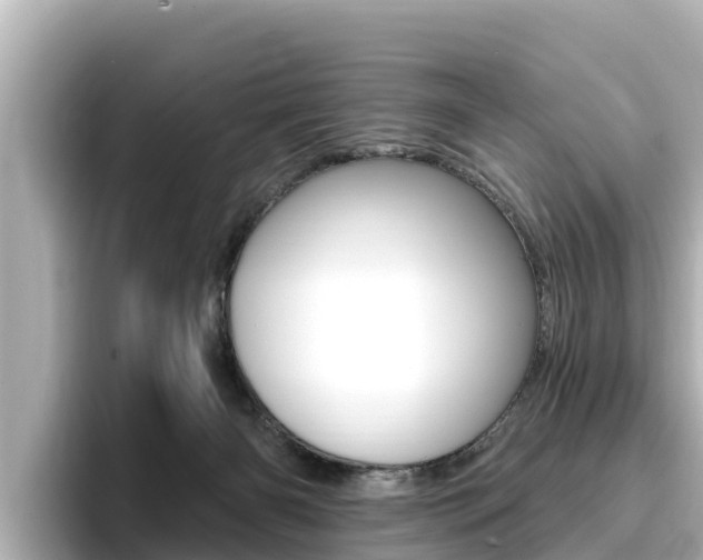X0000096680126200802051037