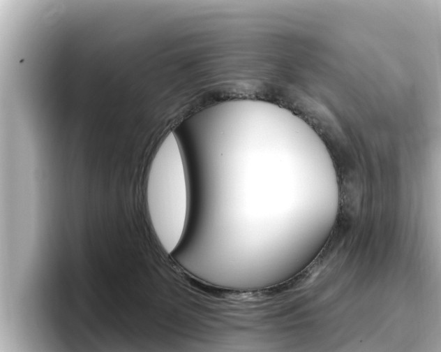 X0000096680131200802051037