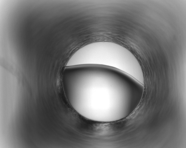 X0000096680132200802051037