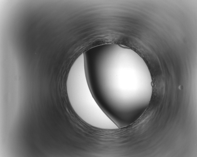 X0000096680137200802051037